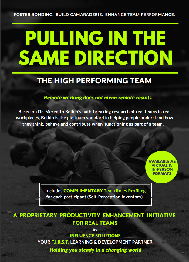 Pulling In The Same Direction - The High Performing Team