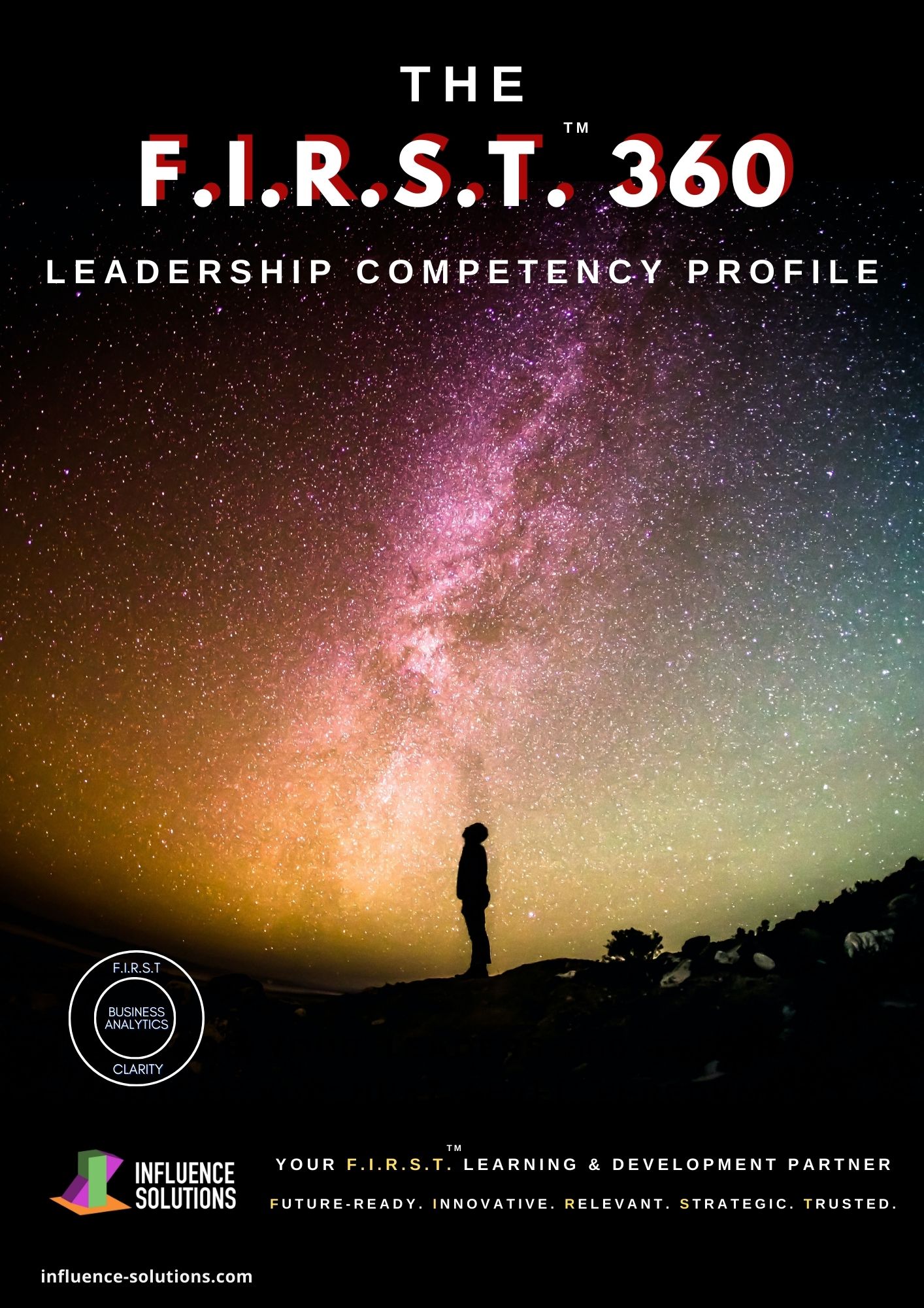 Individual Analytics - The F.I.R.S.T.™ 360 Leadership Profile 